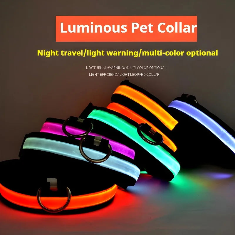 Dogs Luminous Fluorescent collar