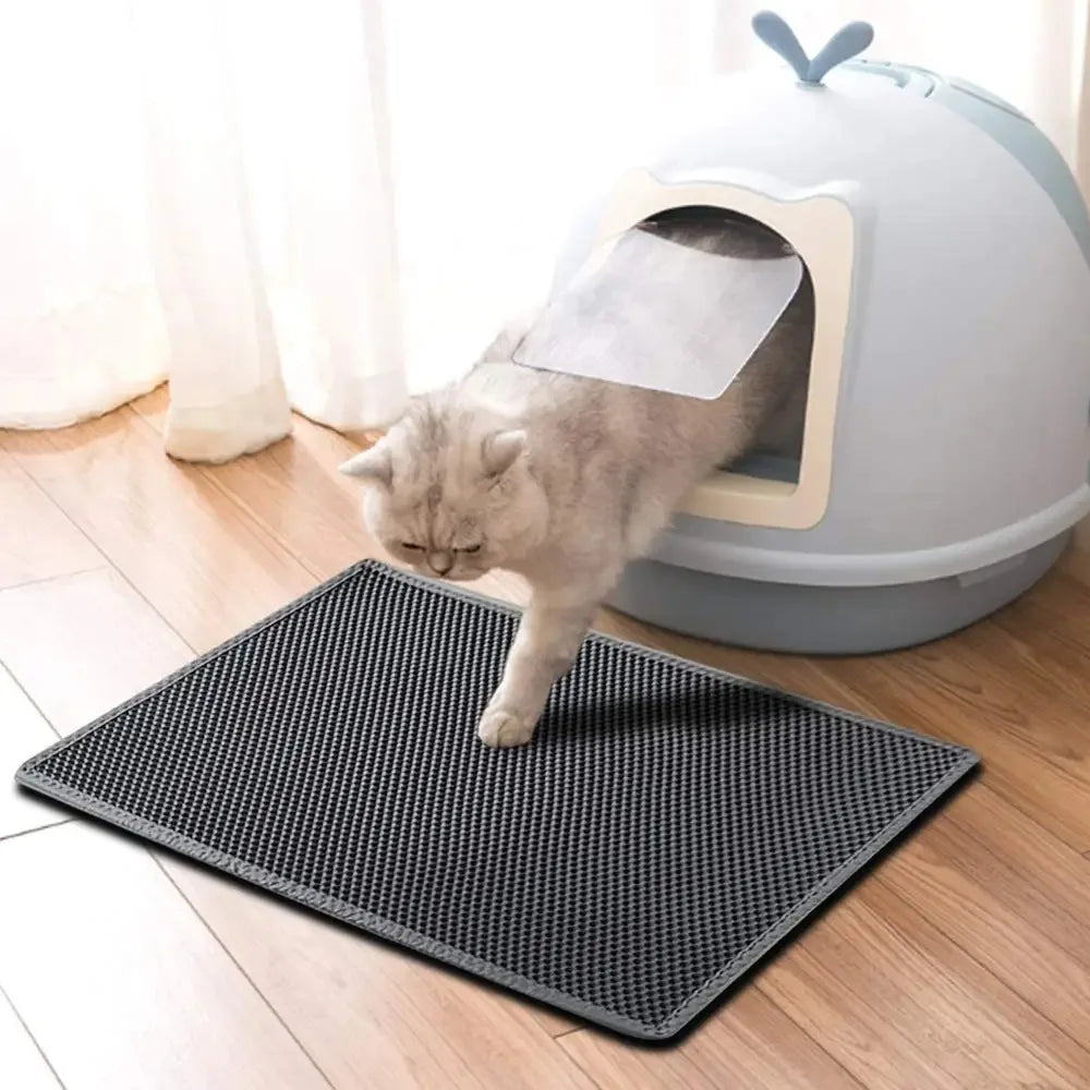 Cat Litter Mat Double Layer