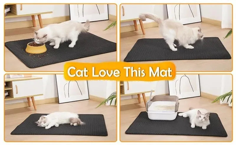 Cat Litter Mat Double Layer