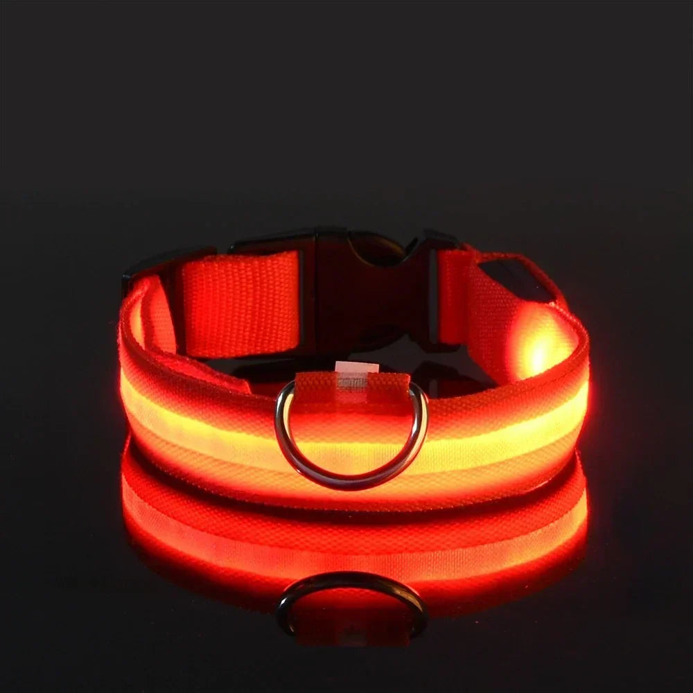 Dogs Luminous Fluorescent collar