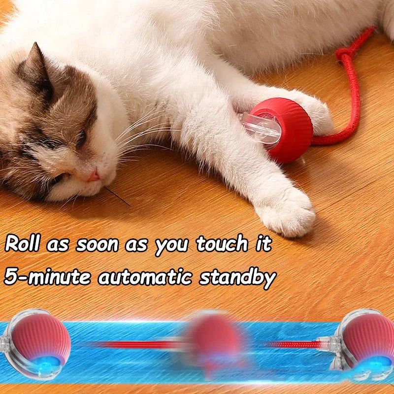 Interactive Ball Toys Automatic