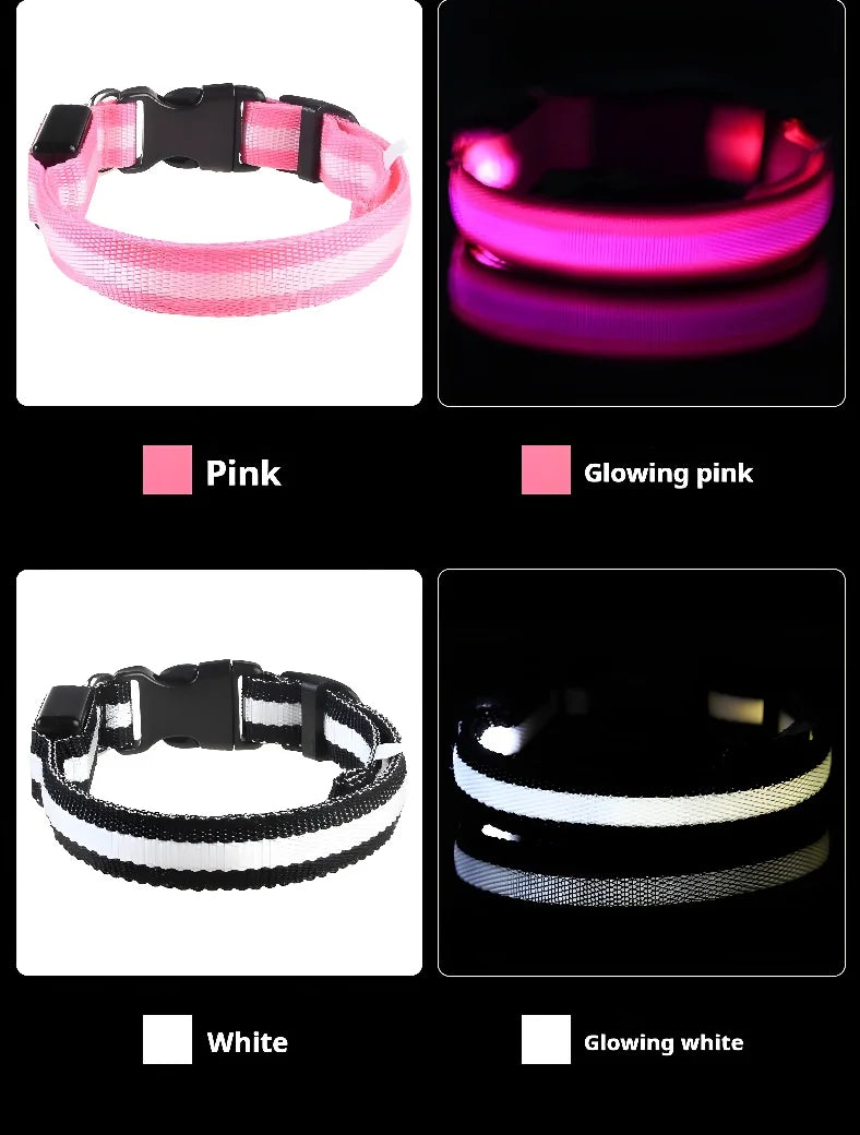 Dogs Luminous Fluorescent collar