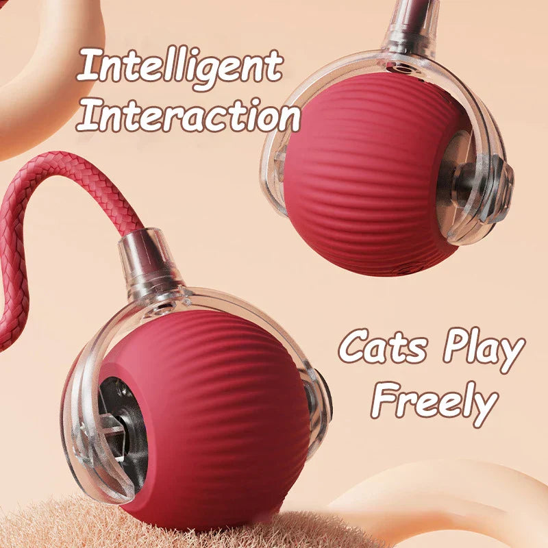 Interactive Ball Toys Automatic