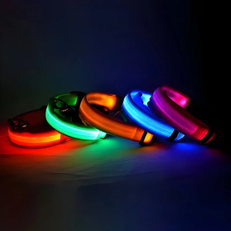 Dogs Luminous Fluorescent collar