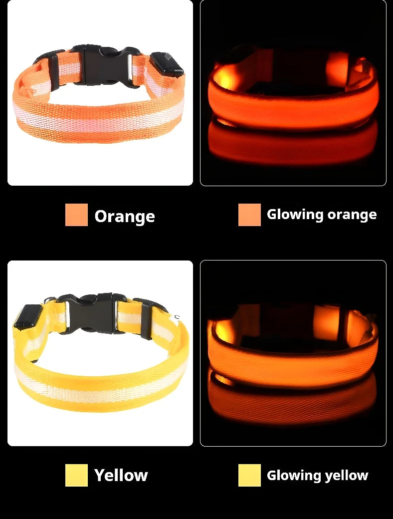 Dogs Luminous Fluorescent collar