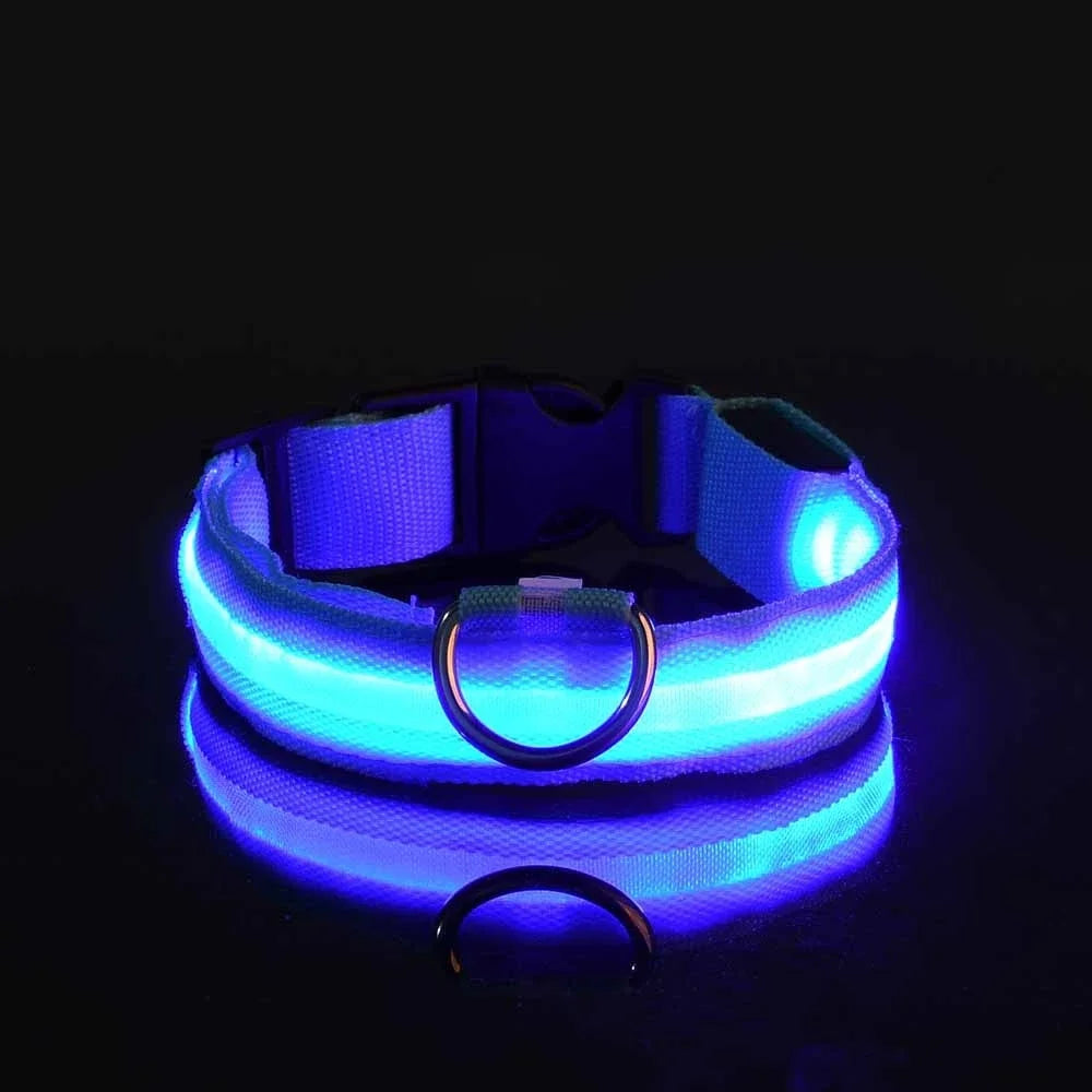 Dogs Luminous Fluorescent collar