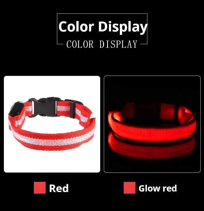 Dogs Luminous Fluorescent collar