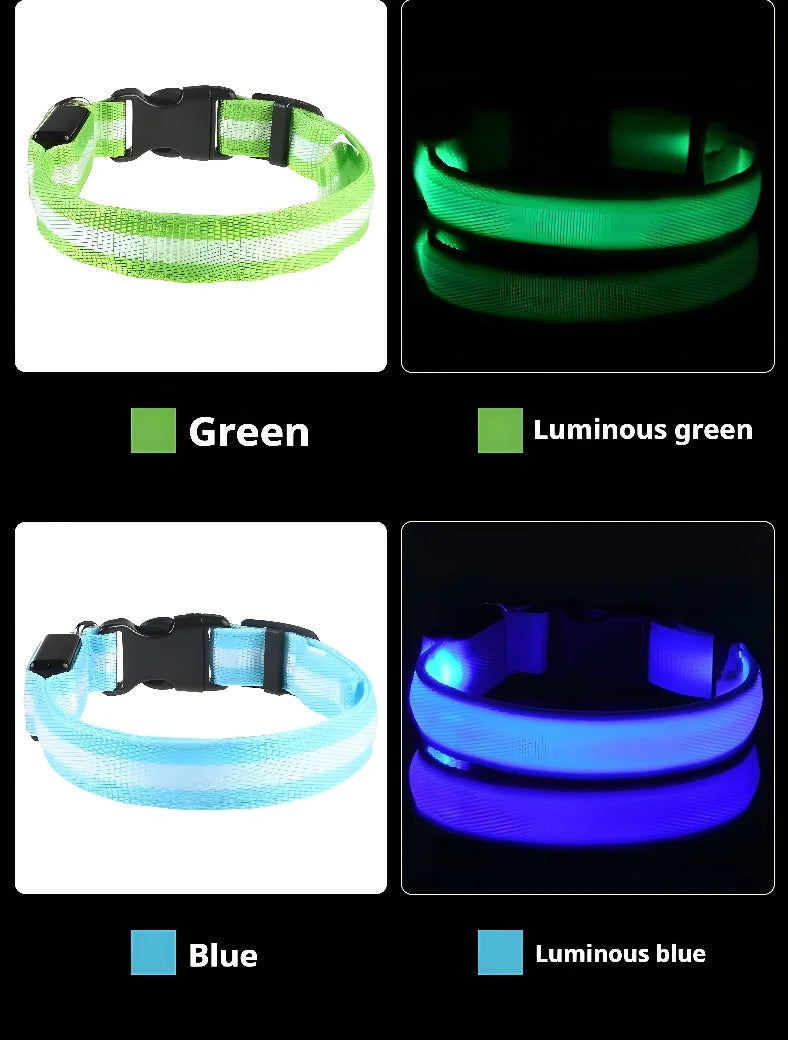 Dogs Luminous Fluorescent collar