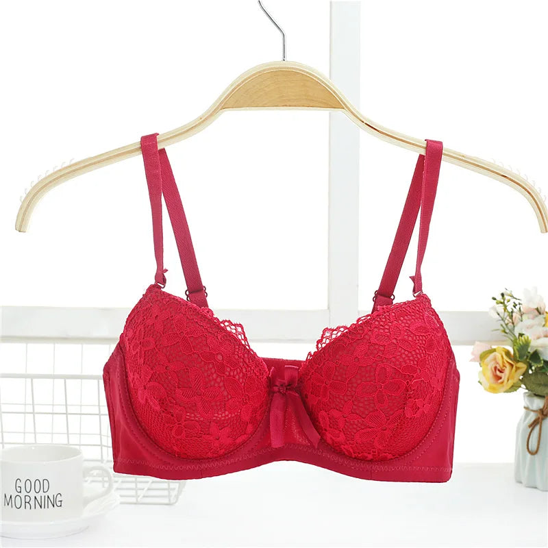 Sexy lace push-up bra with underwire