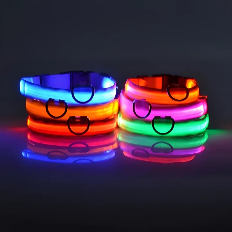 Dogs Luminous Fluorescent collar