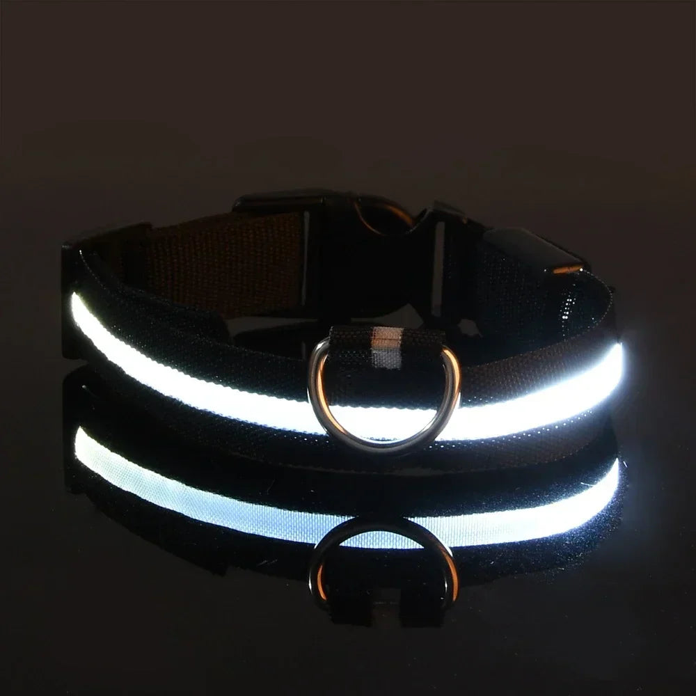 Dogs Luminous Fluorescent collar