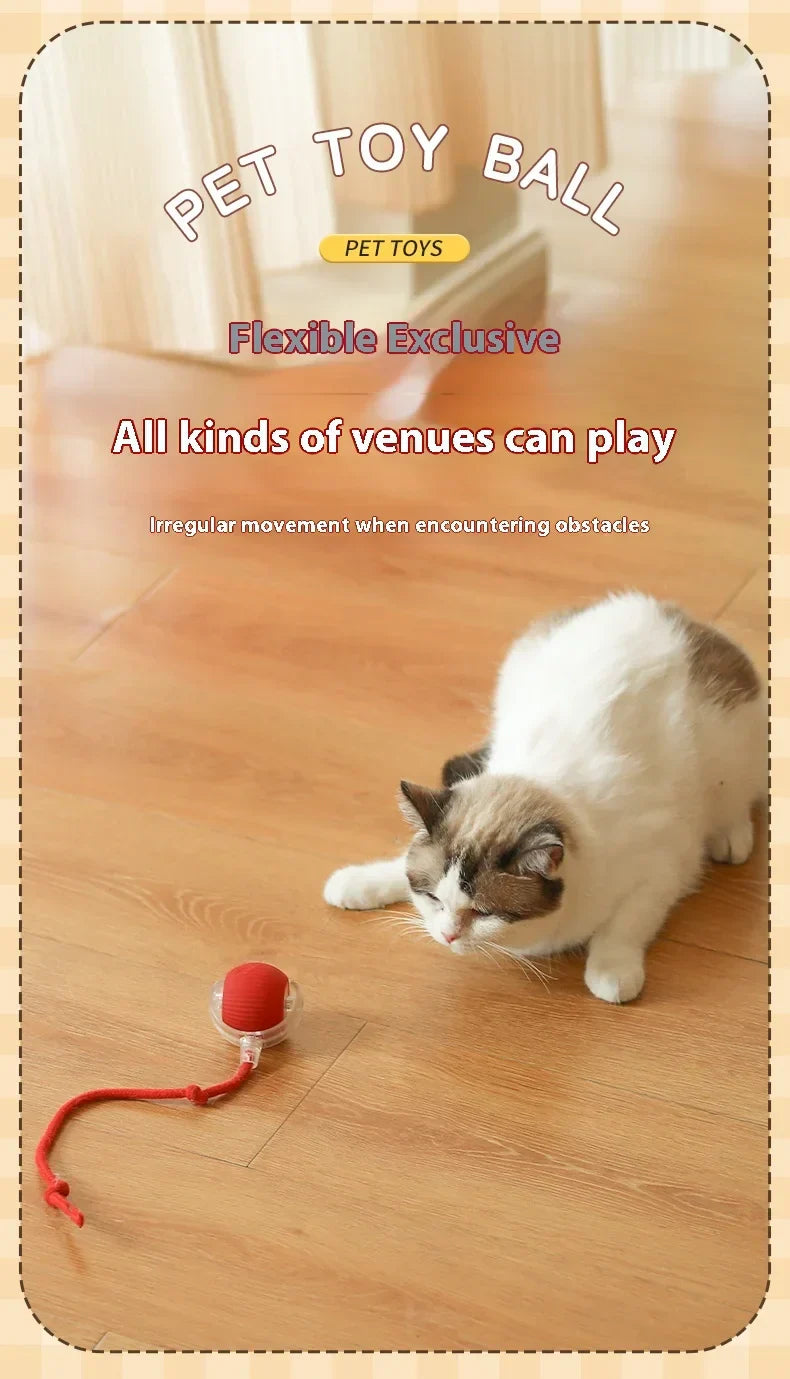 Interactive Ball Toys Automatic