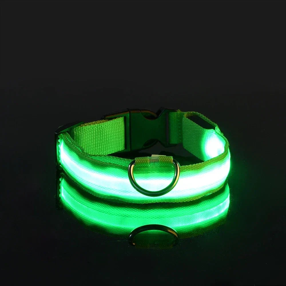 Dogs Luminous Fluorescent collar