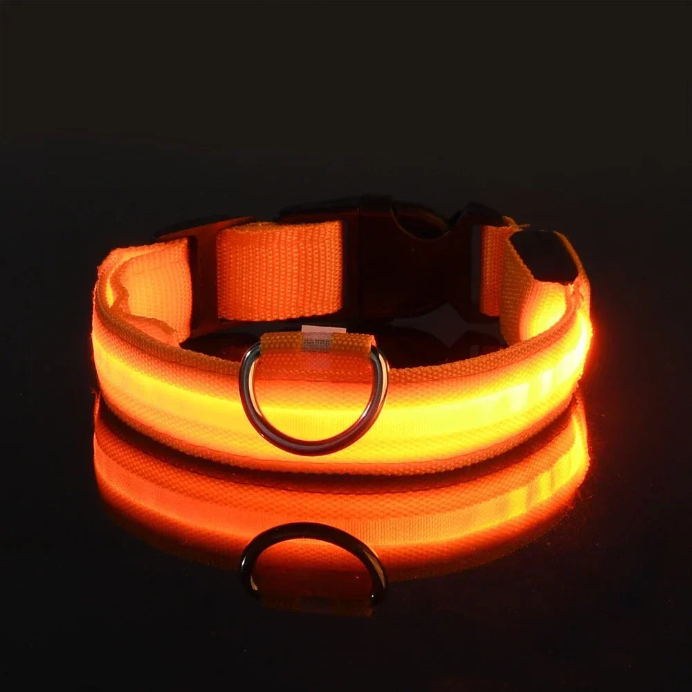 Dogs Luminous Fluorescent collar