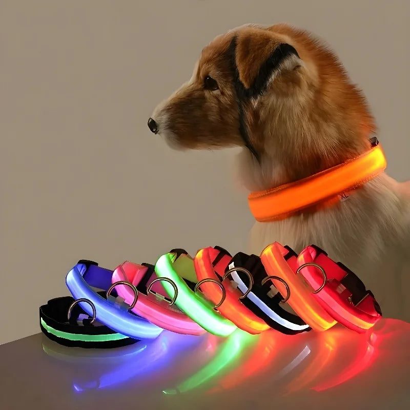 Dogs Luminous Fluorescent collar