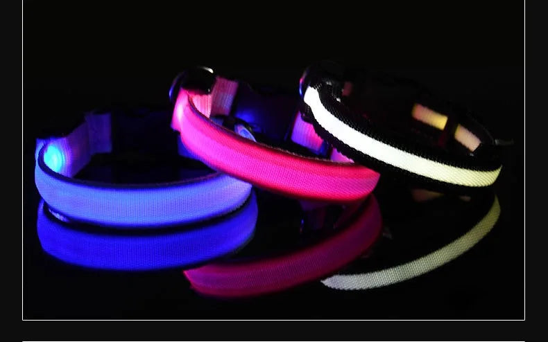 Dogs Luminous Fluorescent collar