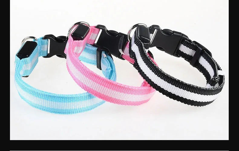 Dogs Luminous Fluorescent collar