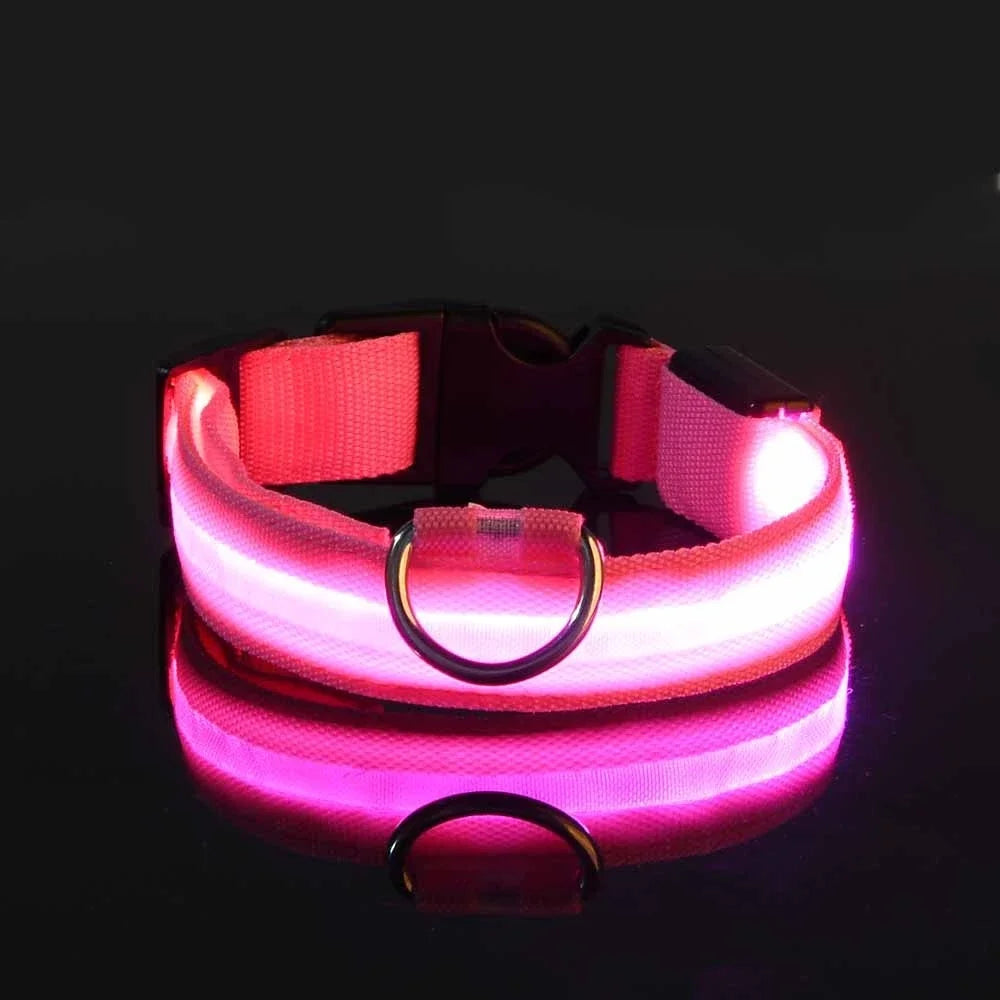 Dogs Luminous Fluorescent collar