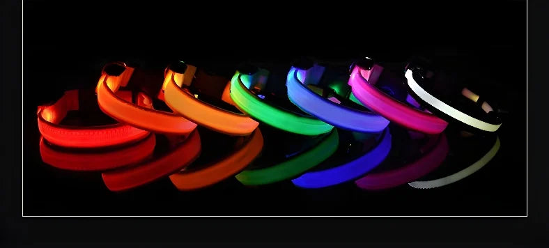 Dogs Luminous Fluorescent collar