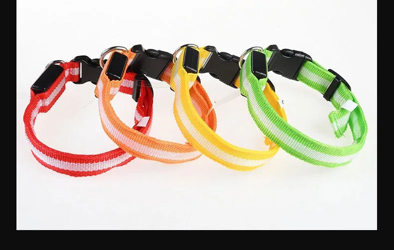 Dogs Luminous Fluorescent collar