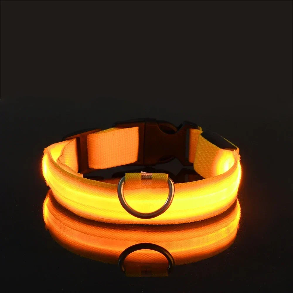 Dogs Luminous Fluorescent collar